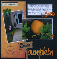 the incidental pumpkin  **theme CONTEST**