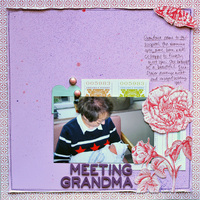 Meeting Grandma *Dear Lizzy Enchanted Reveal*