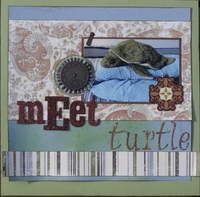 Meet Turtle Blanket