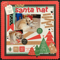 Doggie Santa Hat