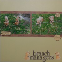 Branch Managers