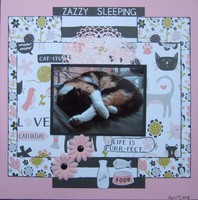 Zazzy Sleeping