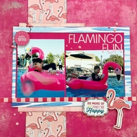 Flamingo Fun