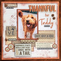 Thankful for Teddy