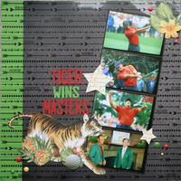 Tiger Wins Masters