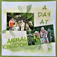 A Day At Animal Kingdom