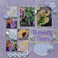 Butterfly Diner