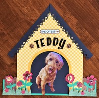Doghouse Teddy