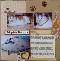 Adoption Memory