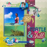 Turtle & Chill