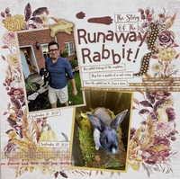 The Story Of The Runaway Rabbit