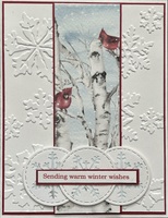sending warm winter wishes
