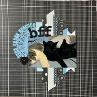 BFF - best furry friends