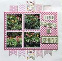 NSD Little Surprises of Spring