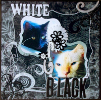 White & Black - hybrid