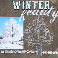 Winter Beauty **Pick an Element Challenge**