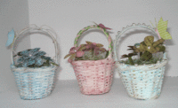 Altered Flower Baskets