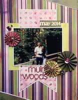 Muir Woods (June TV & GD3)
