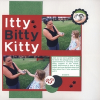 Itty Bitty Kitty/Pet Challenge