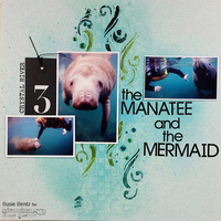 The Manatee and the Mermaid