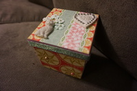 Kitty Box for NSD Altered Challenge
