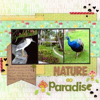 Nature in Paradise