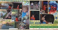 Day at the BR Zoo