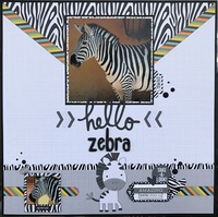 Hello Zebra