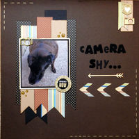 Camera Shy... (Sept 2017 Pet Challenge)