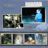 Night Snorkel