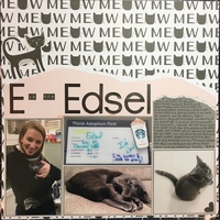 E is for Edsel