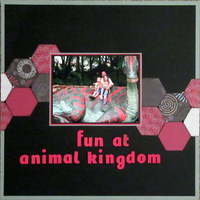 Fun at Animal Kingdom