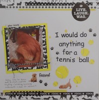 I would do anything for a tennis ball