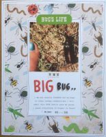 the big bug