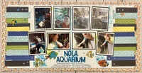 Nola Aquarium