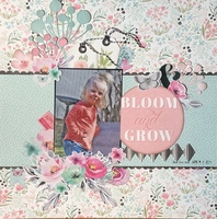 Bloom and Grow/ Louise’s spring flower garden