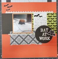 Bat at work