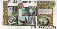 Khaki Campbells and Dixie Chicks