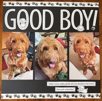 Good Boy!