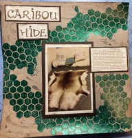 Caribou Hide