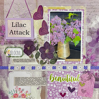 Lilac Attack