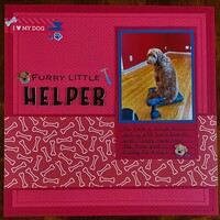 Furry Helper