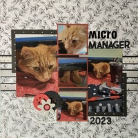 Micro Manager