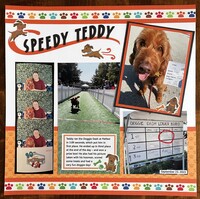 Speedy Teddy