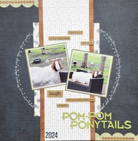 Pop Pom Ponytails